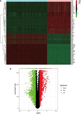 Identification of Hub Genes Associated With Melanoma Development by Comprehensive Bioinformatics Analysis